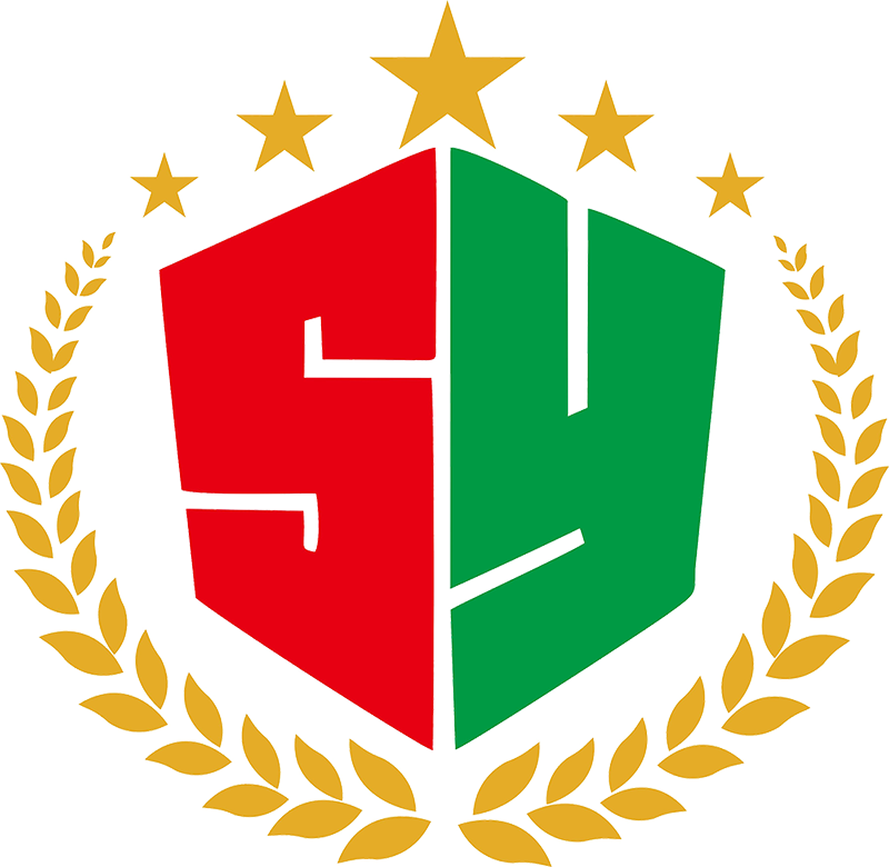 Logotipo inferior QSY